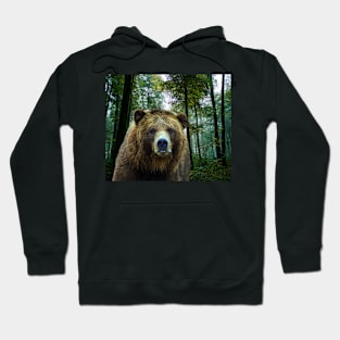 American Brown Bear Hoodie